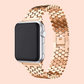 Saturn Stainless Steel Band
