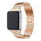 Saturn Stainless Steel Band